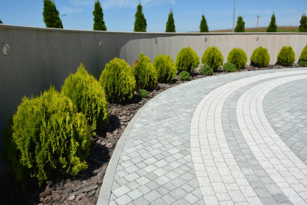 Best Brick Driveway Pavers  in Swisher, IA
